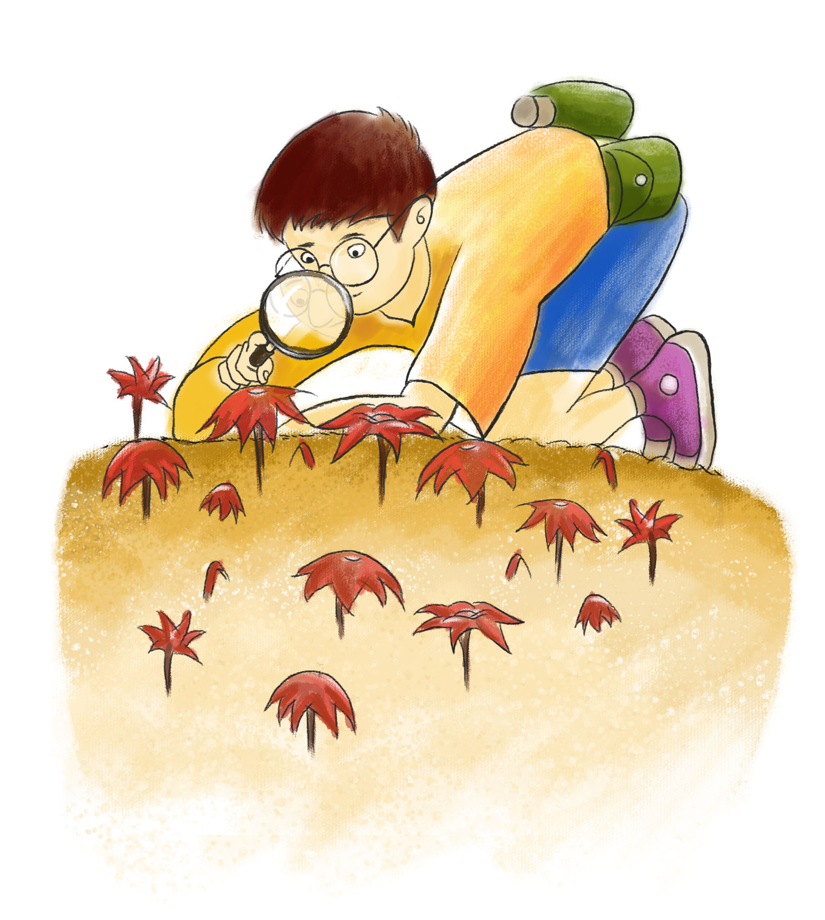威斯利启动图3观察.jpg